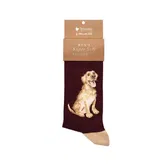 Wrendale Designs 'Good as Gold' Labrador Men's Socks