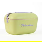 Polarbox Pop Lime-Lilac 20L Cool Box