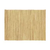 Walton & Co Water Hyacinth Taupe Placemat