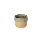 Costa Nova Arenito Green 70ml Espresso Cup