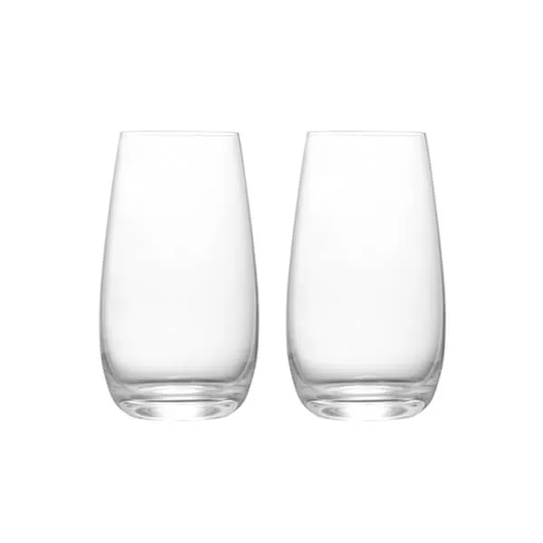 Anton Studio Designs Juno Set of 2 Highball Tumblers