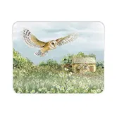 National Trust Border Fritillary Butterfly Medium 30 x 40cm Worktop Protector