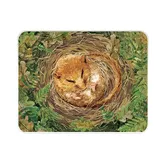 National Trust Dormouse Medium 30 x 40cm Worktop Protector