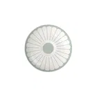Villeroy & Boch Fleur Vert Coffee Cup Saucer