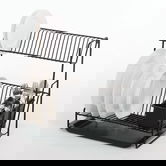Delfinware Wireware Black 2 Tier Plate Rack