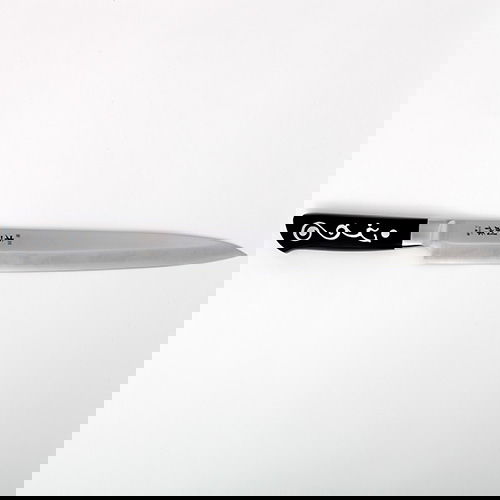 I.O.Shen 270mm Sashimi Knife