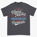 Oldies Club Charcoal I Have Been Called Many Names T-Shirt