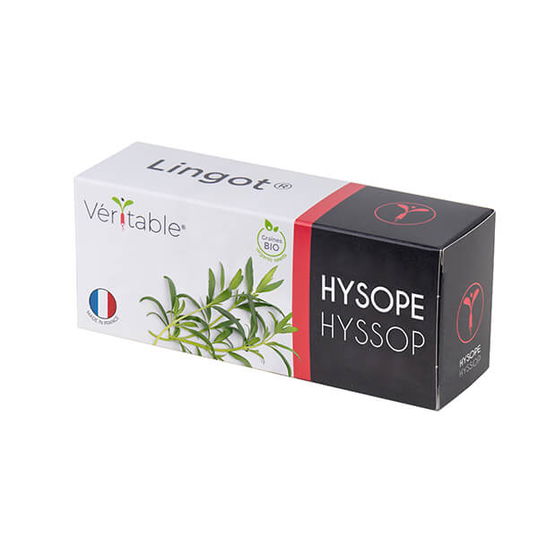 Veritable Organic Hyssop Lingot