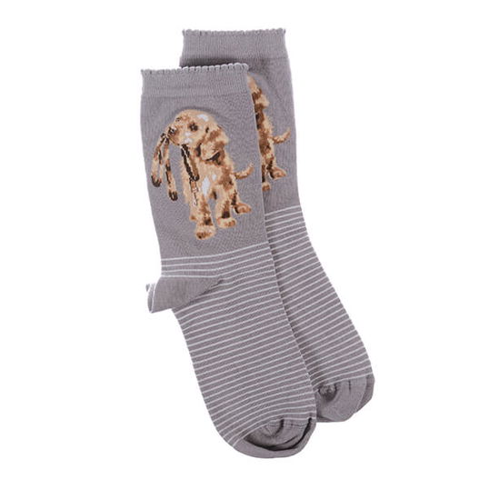 Wrendale Designs Hopeful Dog Socks