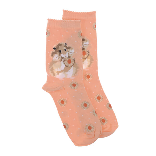 Wrendale Designs Diet Starts Tomorrow Hamster Socks