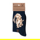 Wrendale Designs Hopeful Navy Dog Socks One Size