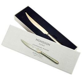 Arthur Price Monsoon Champagne Mirage Cake Knife