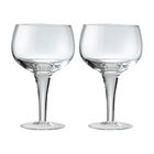 Denby China Set Of 2 Gin Glasses