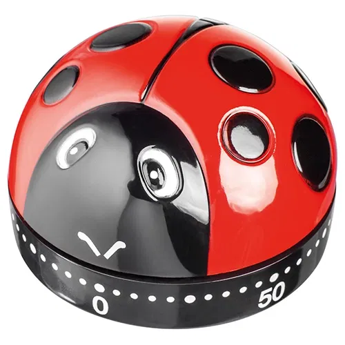 Judge Ladybird Kitchen Timer