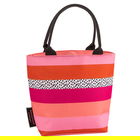 Navigate Tribal Fusion Lunch Tote Stripe