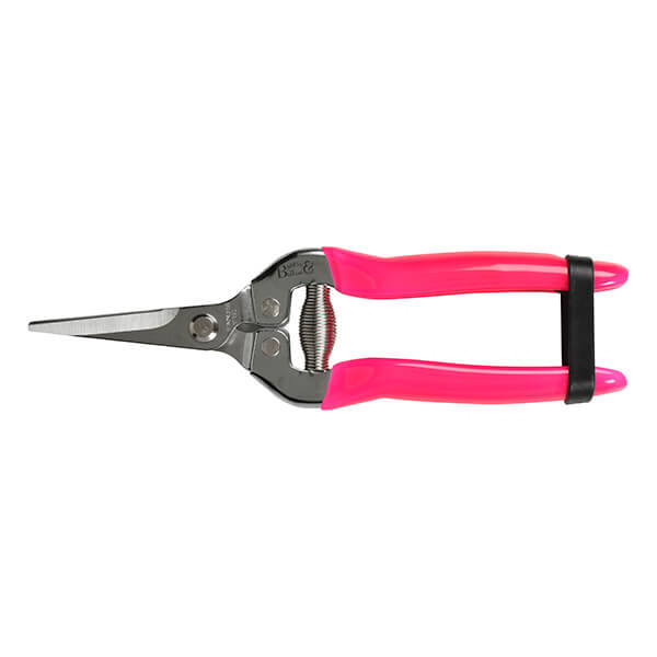 RHS Florabrite Fluorescent Flower & Fruit Snip - Pink