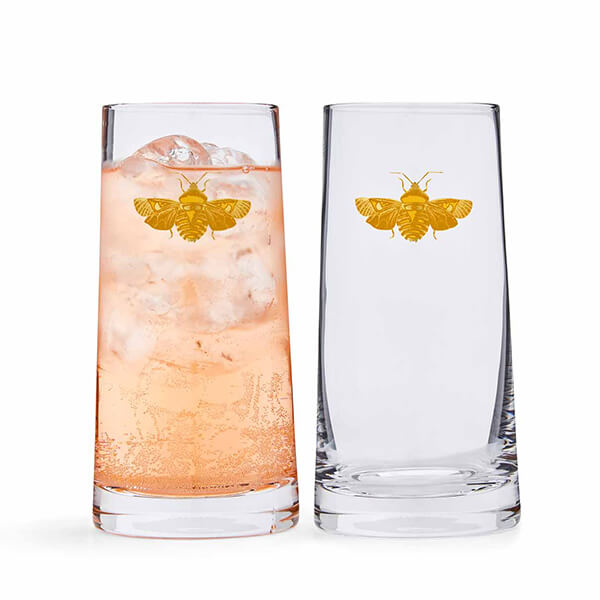 Spode Creatures of Curiosity Set of 2 Highball Glasses