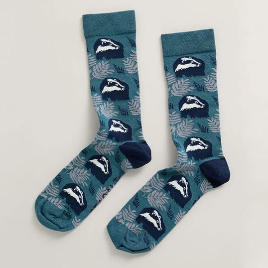 Seasalt Men`s Bamboo Arty Socks Carleen Nickel