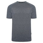 Dare 2b Mens Persist T-Shirt Orion Grey Marl Size S