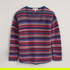 Seasalt Fruity Jumper II Ripple Marks Starling Multi Size 20