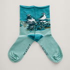 Seasalt Postcard Socks Turnstone Scene Limpet