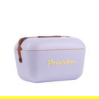 Polarbox Classic Lilac-Yellow 12L Cool Box