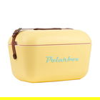 Polarbox Classic Yellow-Cyan 20L Cool Box