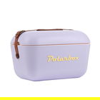 Polarbox Classic Lilac-Yellow 20L Cool Box