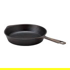 Stellar Cast Iron 25cm Skillet