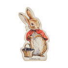 Beatrix Potter Flopsy Wooden Magnet