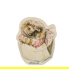Beatrix Potter Mrs.Tiggy-Winkle Wooden Magnet 