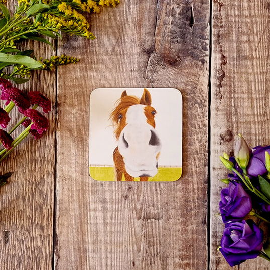 Lucy`s Farm Brandy the Horse Melamine Coaster