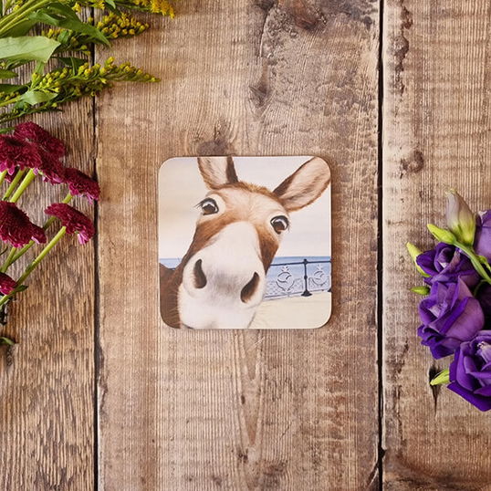 Lucy`s Farm Donkey at Swanage Pier Melamine Coaster