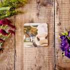 Lucy`s Farm Moo at Gold Hill Melamine Coaster