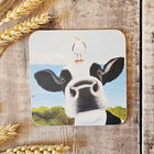 Lucy`s Farm Moo Selfie at Swanage II Melamine Coaster