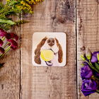 Lucy`s Farm Ned the Spaniel Melamine Coaster