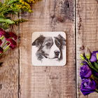 Lucy`s Farm Narla the Collie Melamine Coaster