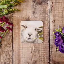 Lucy's Farm Sheep at Milton Abbas Melamine Coaster