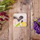 Lucy`s Farm Tulip Moo Melamine Coaster