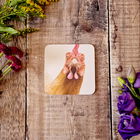 Lucy`s Farm Vivienne the Chicken Melamine Coaster