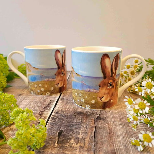 Lucy`s Farm Hare Selfie at Man `O` War Bay Regular Mug
