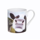 Lucy`s Farm Moo Selfie at Corfe Railway Cow Regular Mug