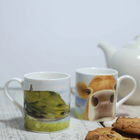 Lucy`s Farm Moo Selfie at Kimmeridge Cow Regular Mug