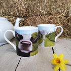 Lucy`s Farm Moo Selfie at Windsor Castle Cow Regular Mug