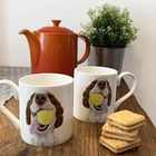 Lucy`s Farm `Ned` Sprocker Spaniel Regular Mug