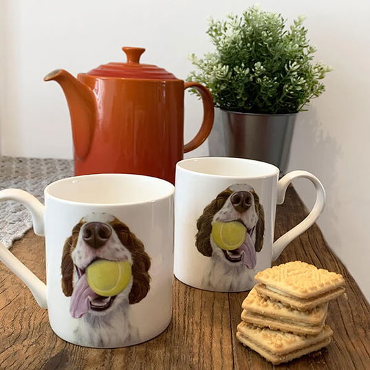 Lucy`s Farm `Ned` Sprocker Spaniel Regular Mug