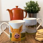 Lucy`s Farm Pig selfie at Studland Regular Mug