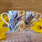 Lucy`s Farm Spring Bunny Regular Mug