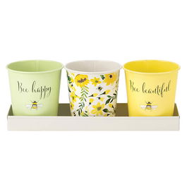 English Tableware Company Bee Beautiful Set of 3 Pots