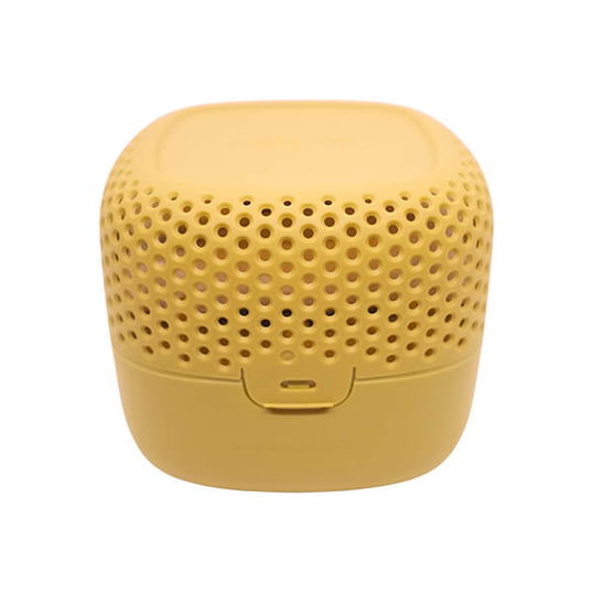 Absodry Duo Mini Chanterelle